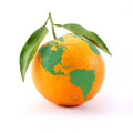 orange globe